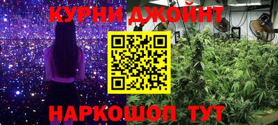 дурь Бердск