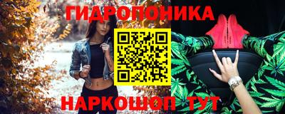 дурь Бердск