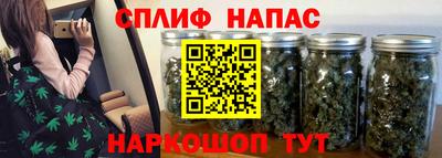 дурь Бердск