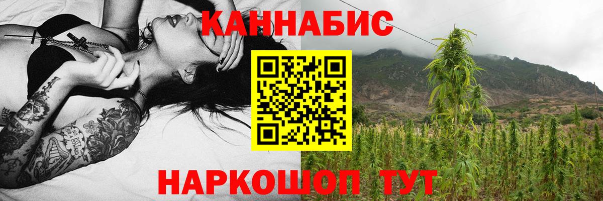 МАРИХУАНА план Горячий Ключ